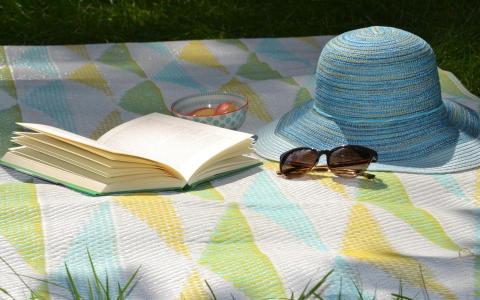 Picknickdecke mit Sonnenhut, Sonnenbrille und aufgeschlagenem Buch
